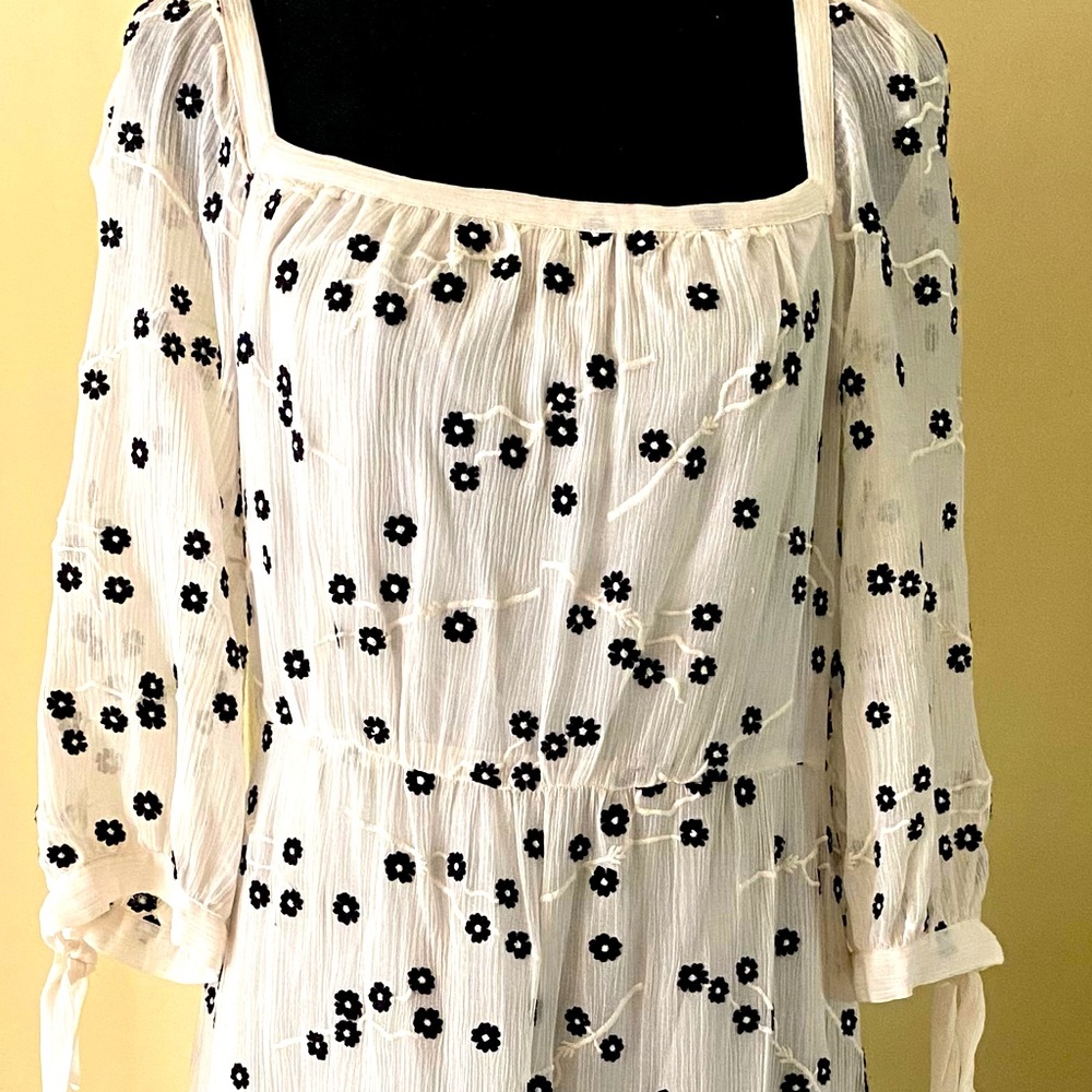 Beautiful sheer Rebecca Taylor dress